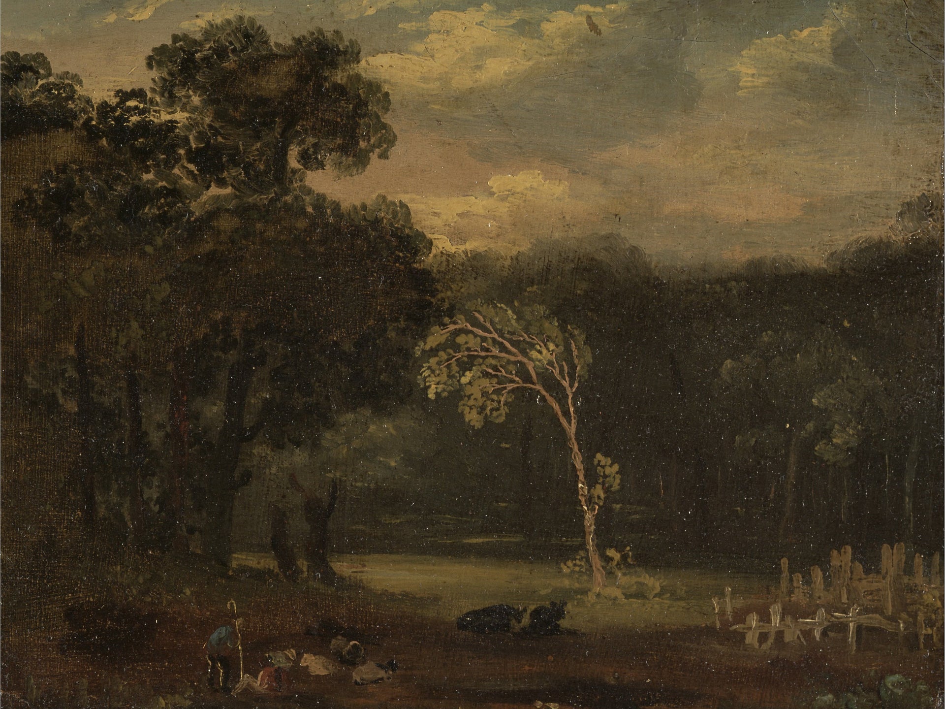 Moody Trees