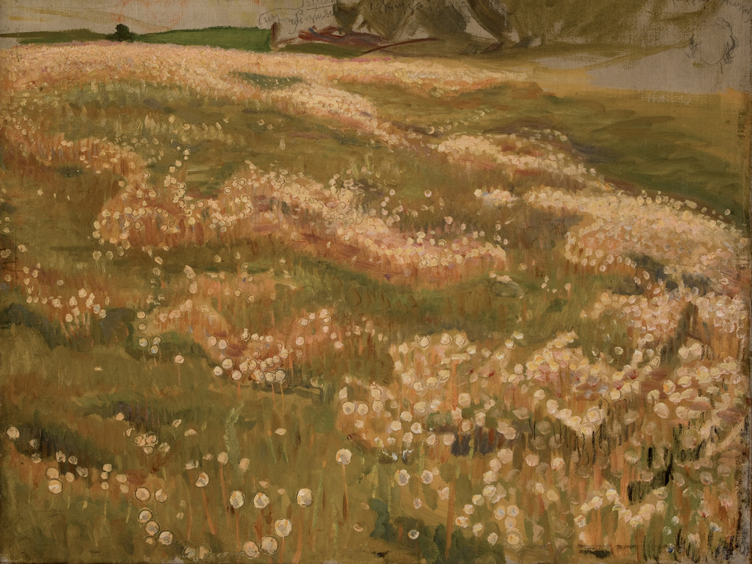 Fields in Bloom
