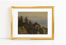 Forest View