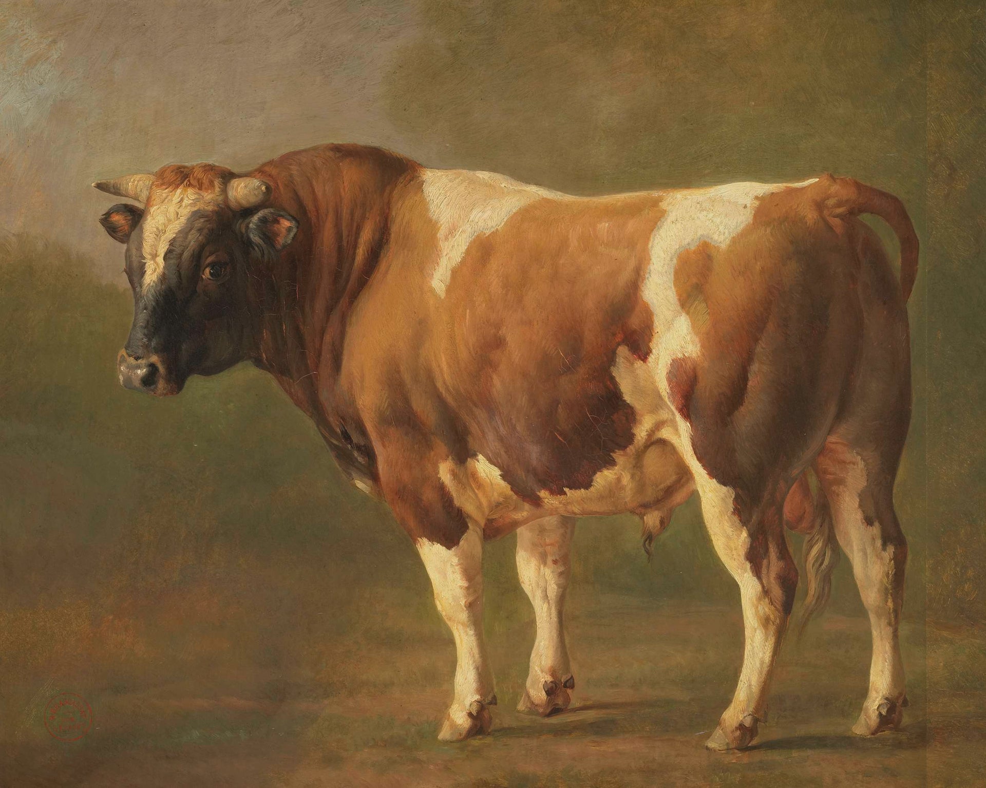 Study of a Bull