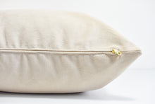 Velvet Pillow - Buckwheat